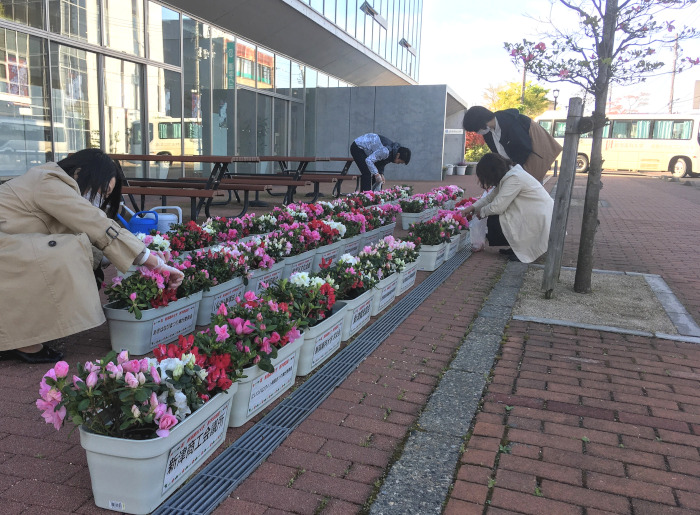 新潟薬科大学の新学部設置と新入生を特産花「アザレア」で歓迎